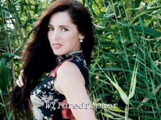 Wildredflower