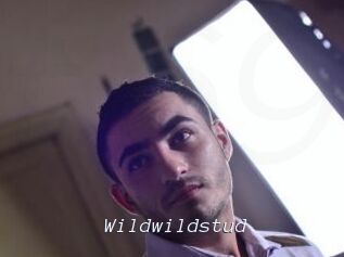 Wildwildstud