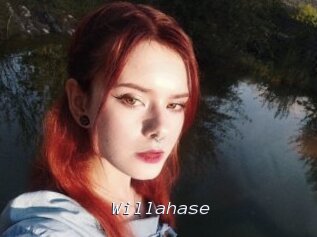 Willahase