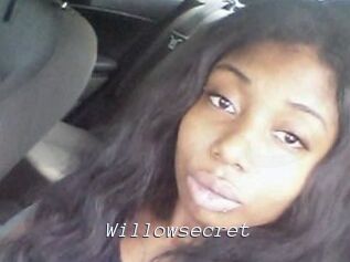 Willow_secret