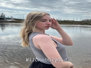 Wilonebolyard
