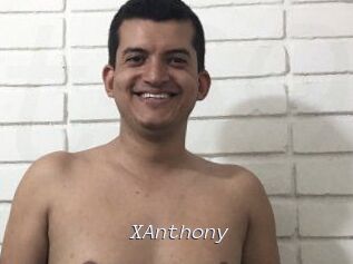 XAnthony