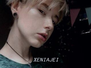 XENIA_JEI