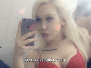 Xoxosnowbunny