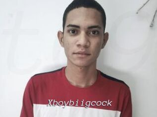 Xboybiigcock