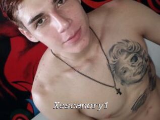 Xescanory1