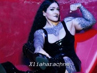 Xliaharachne