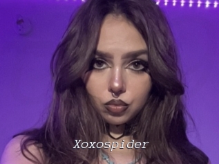Xoxospider