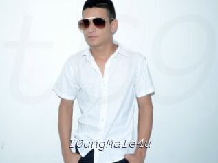 Y0ungMale4u Tel 69 Salopes