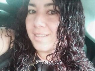YECAOL23