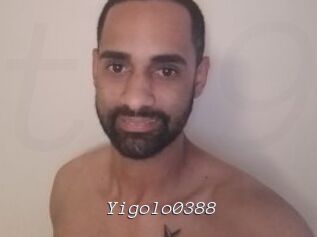 Yigolo0388