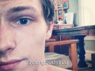Youngbudstud