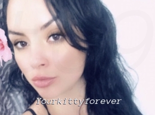 Yourkittyforever