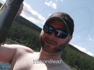 YukonBear