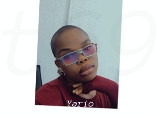 yario Tel 69 Salopes