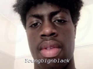 Youngbignblack