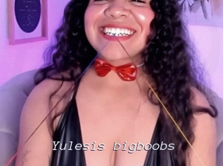 yulesis_bigboobs Tel 69 Salopes