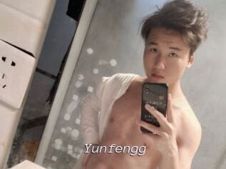Yunfengg