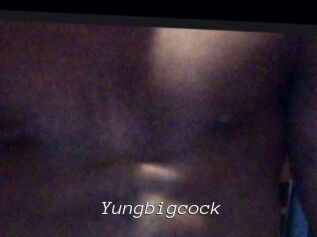 Yungbigcock