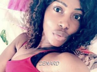 ZENARD