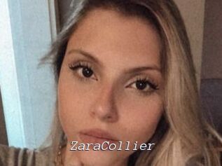 ZaraCollier Tel 69 Salopes