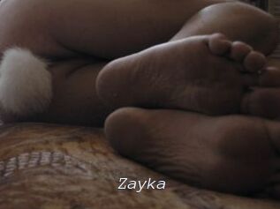 Zayka