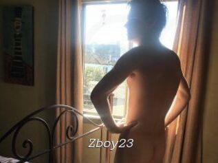 Zboy23