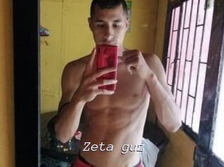 Zeta_guz