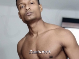 zambohot Tel 69 Salopes