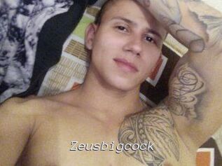 Zeusbigcock